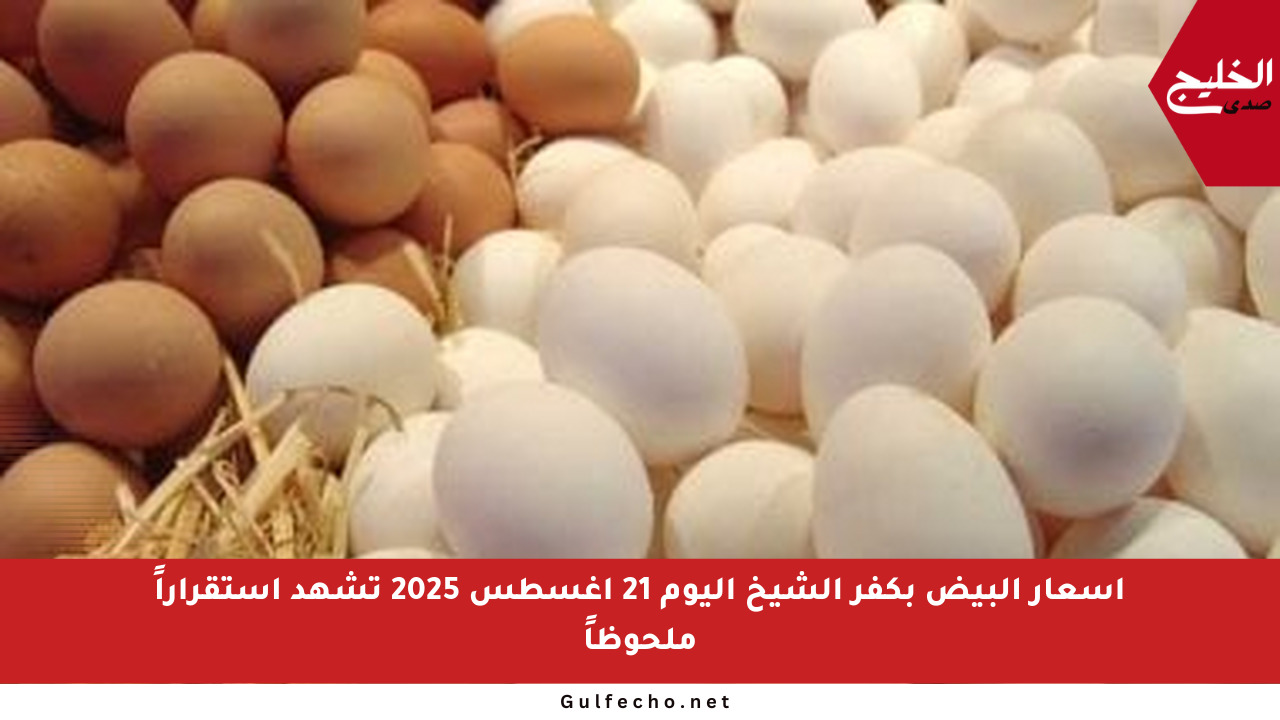 أسعار البيض بكفر الشيخ اليوم 21 أغسطس 2025 تشهد استقراراً ملحوظاً